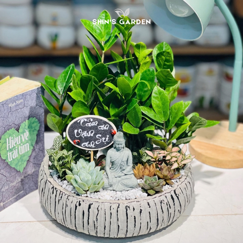 c&acirc;y kim tiền để b&agrave;n văn ph&ograve;ng