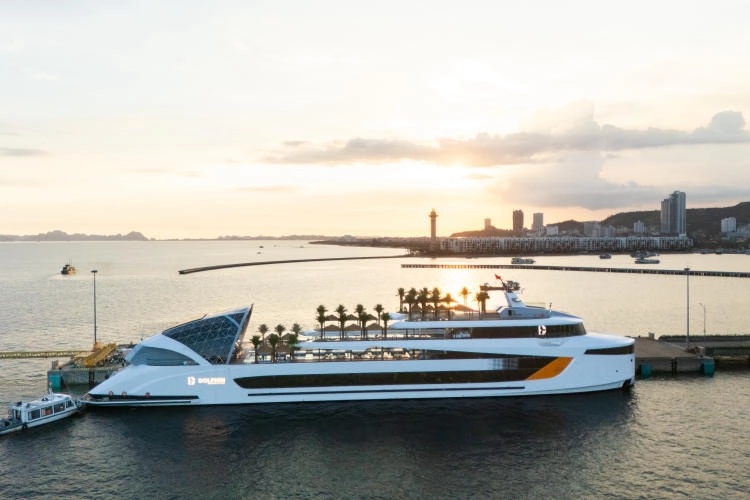 Dolphin Hạ Long Cruise